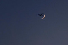 DSCF0979