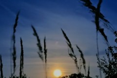 IMG20241017185213