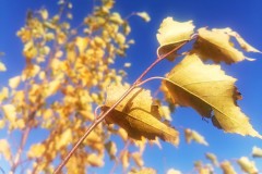 IMG_20211106_143735